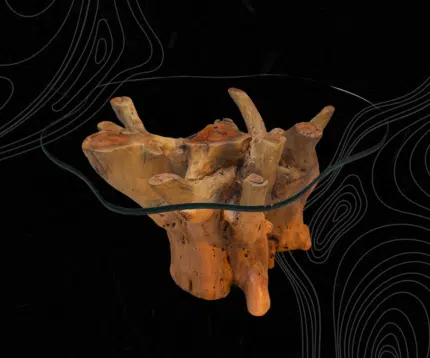 Root Coffee Tables CT0008