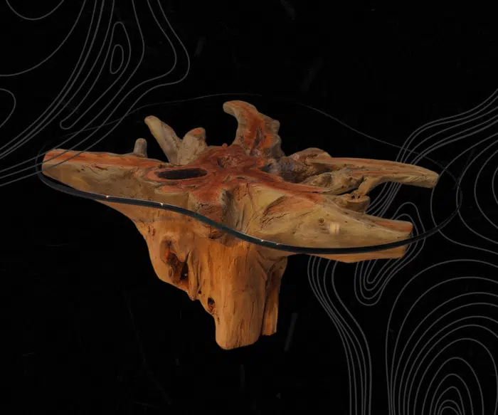 Root Coffee Tables CT00010