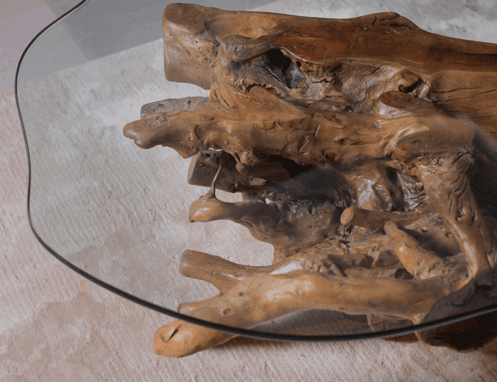 طاولة قهوة جذر شجرة CT0011