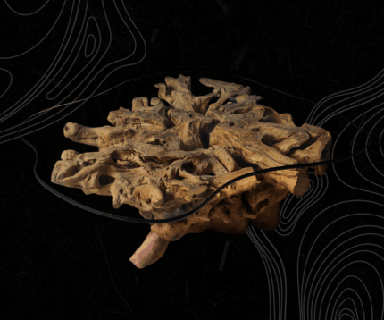 Root Coffee Tables CT00014