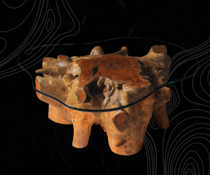 Root Coffee Tables CT00016