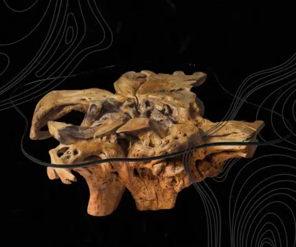 Root Coffee Tables CT00019