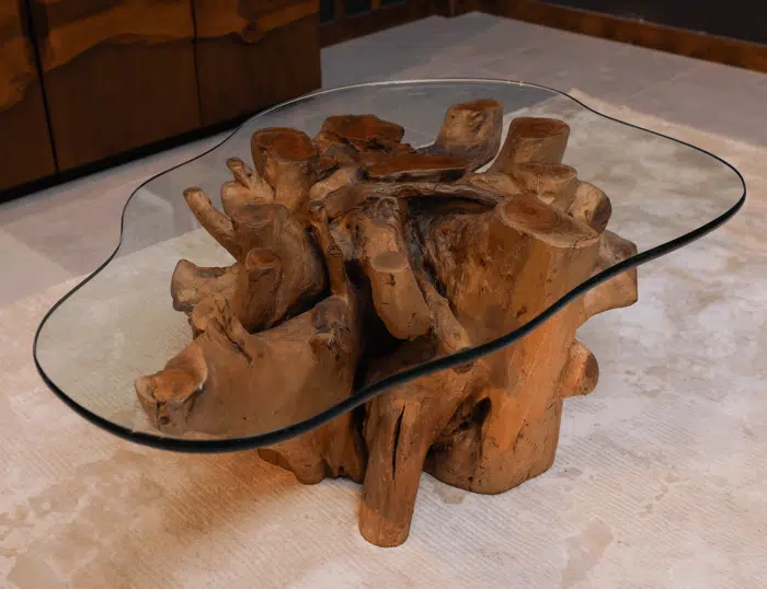 Root Coffee Table CT00022