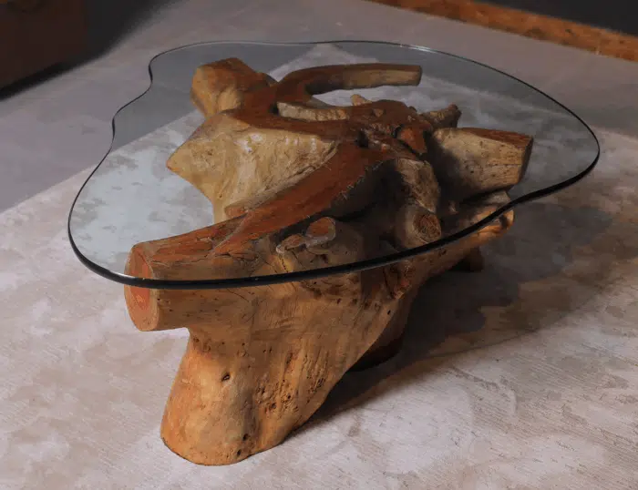 Root Coffee Table CT00023