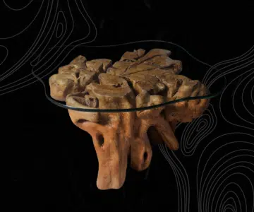 Root Coffee Table CT00025