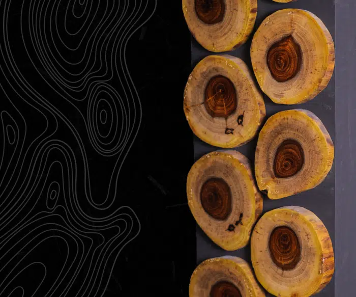 Natural wood wall W0001