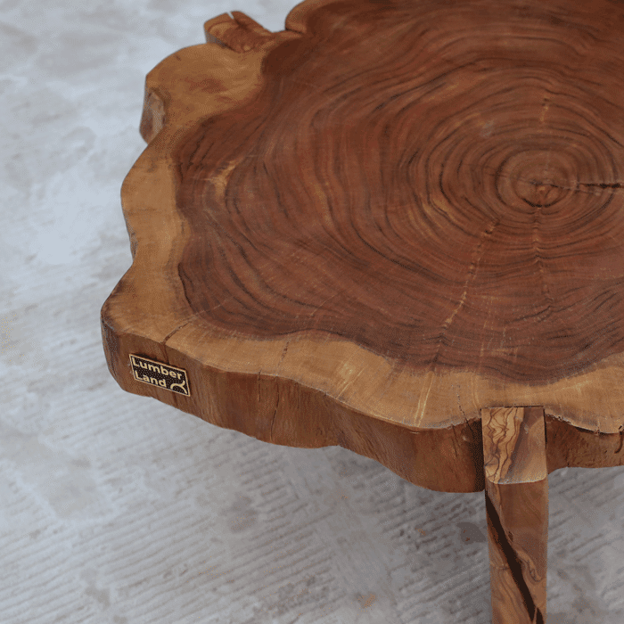 طاولة قهوة جذع خشب طبيعي CT0029