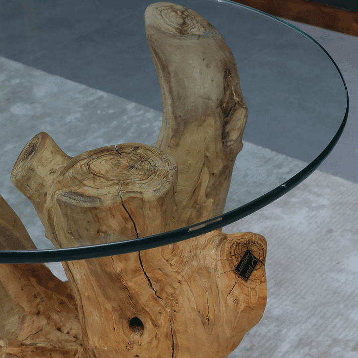 طاولة قهوة جذع شجرة CT0044