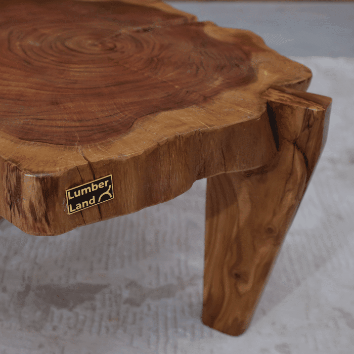 طاولة قهوة جذع خشب طبيعي CT0029