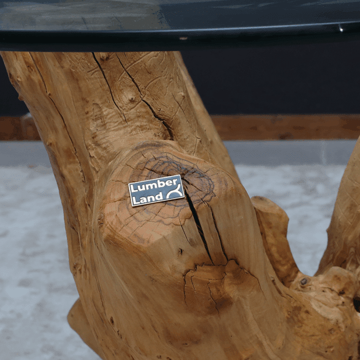 طاولة قهوة جذع شجرة CT0044