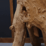 طاولة القهوة من الجذور الطبيعية CT0045