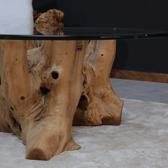 طاولة القهوة من الجذور الطبيعية CT0047