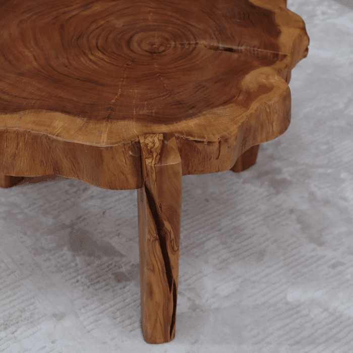 طاولة قهوة جذع خشب طبيعي CT0029