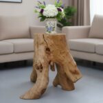 طاولة القهوة من الجذور الطبيعية CT0045