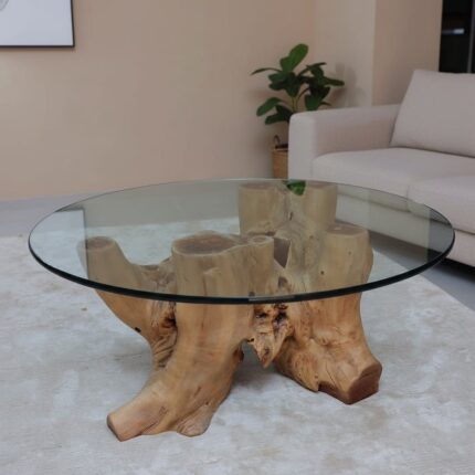 طاولة القهوة من الجذور الطبيعية CT0047