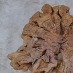 Coffee Table CT0028
