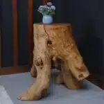 طاولة القهوة من الجذور الطبيعية CT0045