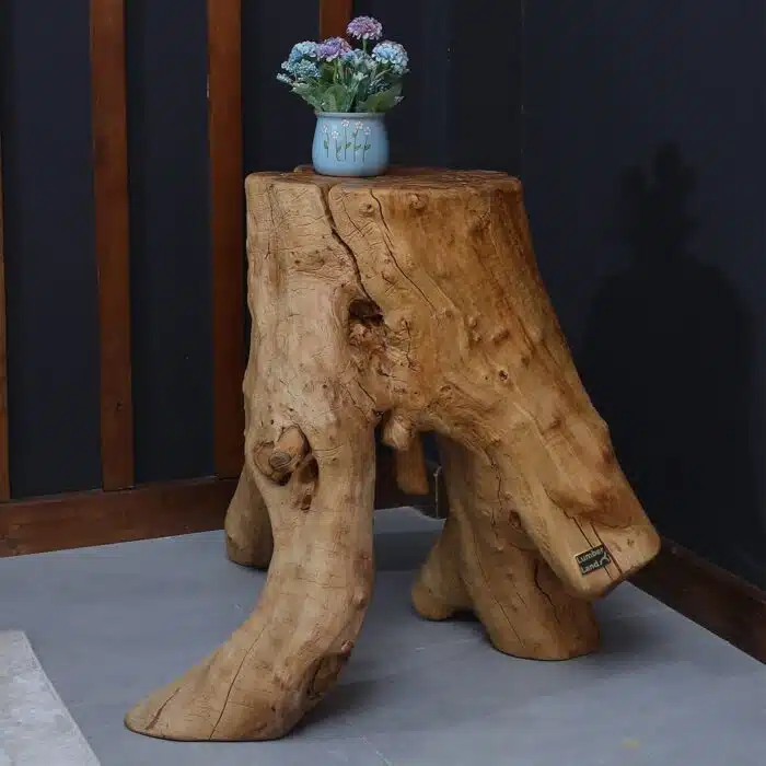 طاولة القهوة من الجذور الطبيعية CT0045