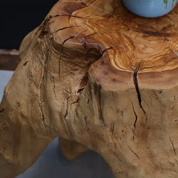 طاولة القهوة من الجذور الطبيعية CT0045