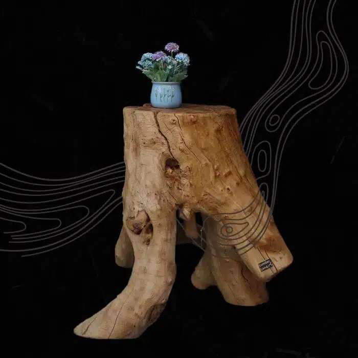 Root Coffee Table CT0045