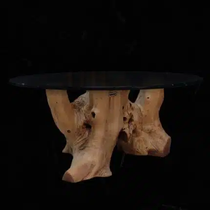 Root Coffee Table CT0047