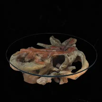 Root Coffee Table CT0048