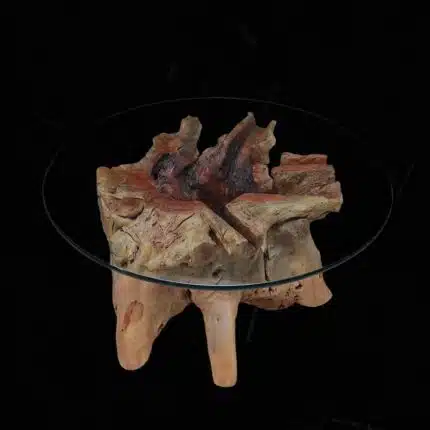 Root Coffee Table CT0049