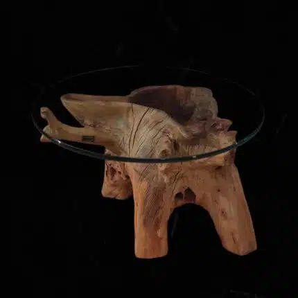 Root Coffee Table CT0050