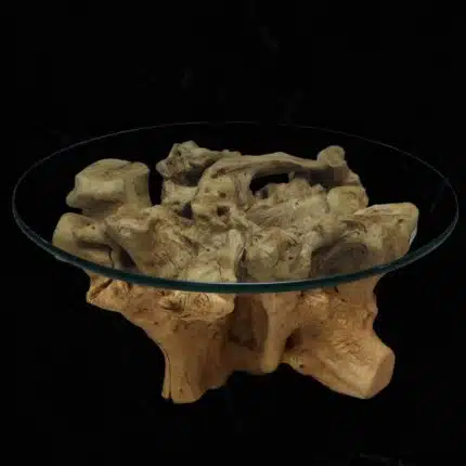 Root Coffee Table CT0051