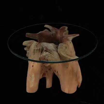 Root Coffee Table CT0052