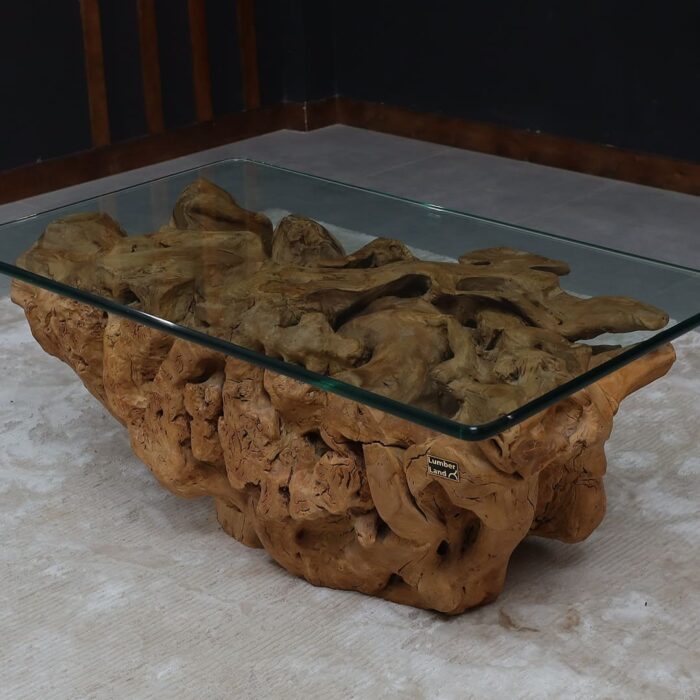 Root Coffee Table CT0053