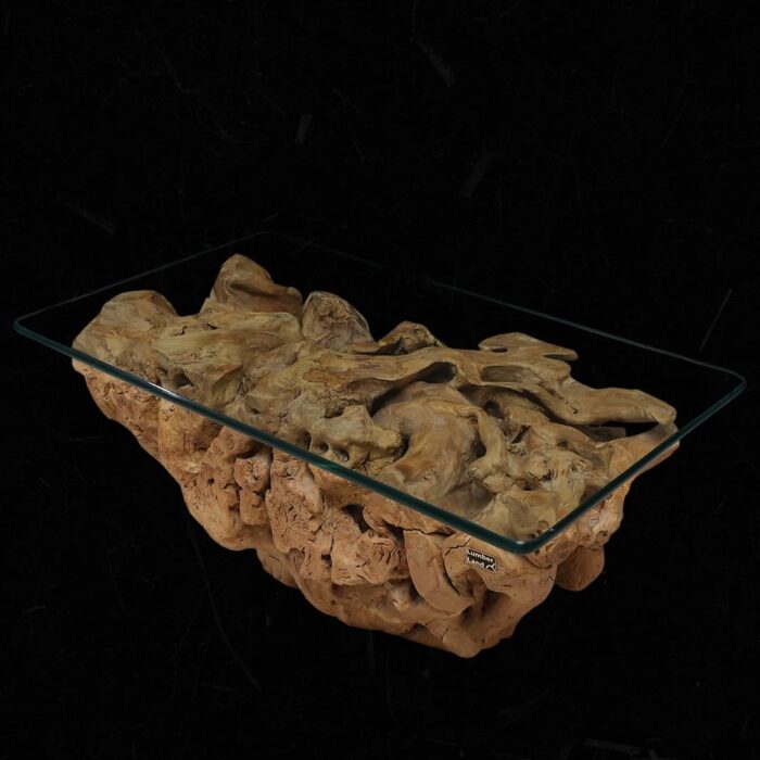 Root Coffee Table CT0053