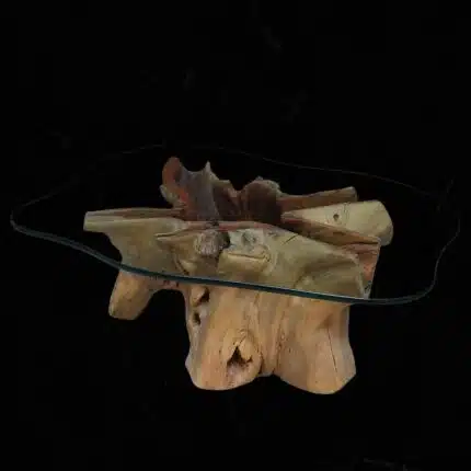 Root Coffee Table CT0055