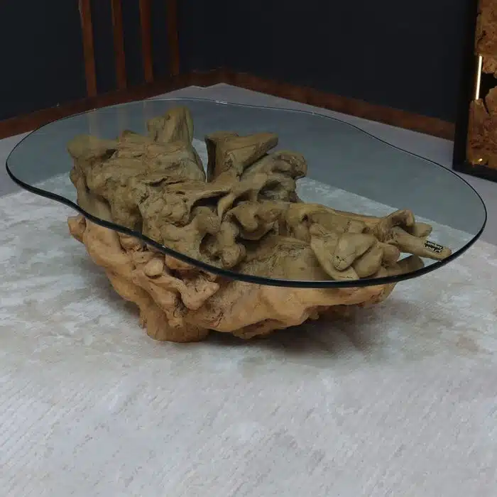 طاولة قهوة جذر شجرة CT0056