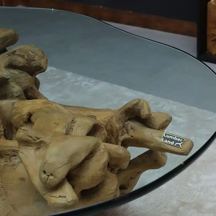 طاولة قهوة جذر شجرة CT0056