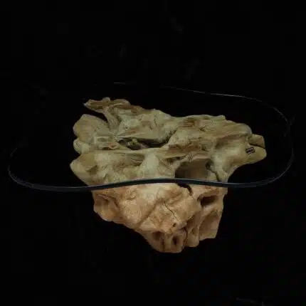 Root Coffee Table CT0057