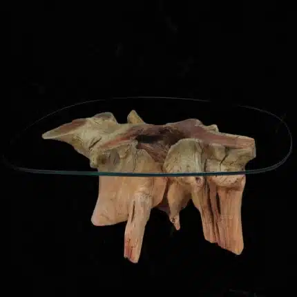 Root Coffee Table CT0058