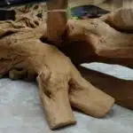 Root Coffee Table CT0059