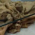 Root Coffee Table CT0059