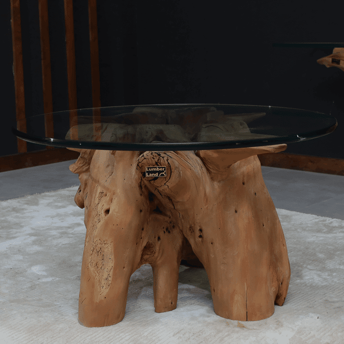 طاولة قهوة جذر شجرة CT0052