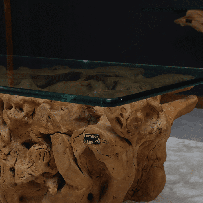 طاولة قهوة جذر شجرة CT0053