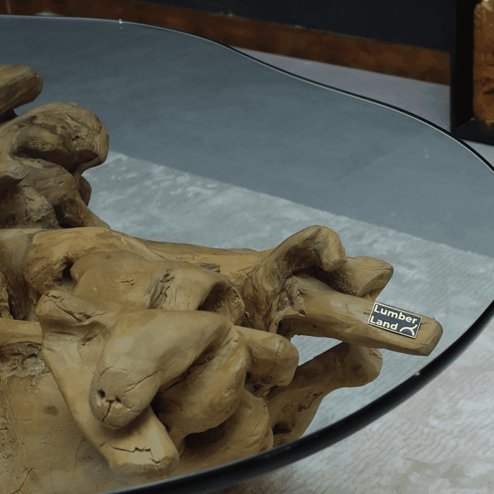 طاولة قهوة جذر شجرة CT0056