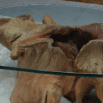 طاولة قهوة الجذر CT0058