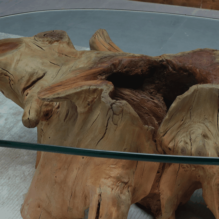 طاولة قهوة الجذر CT0058