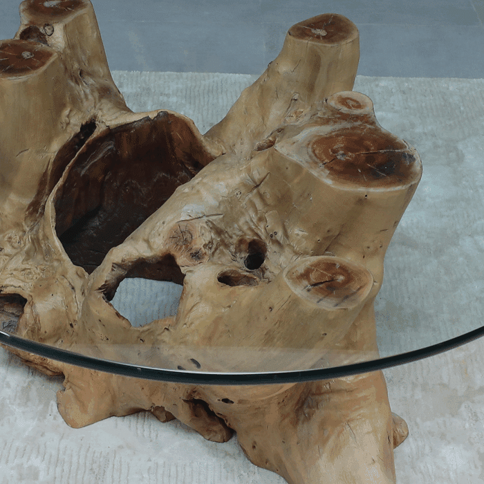 طاولة القهوة من الجذور الطبيعية CT0048