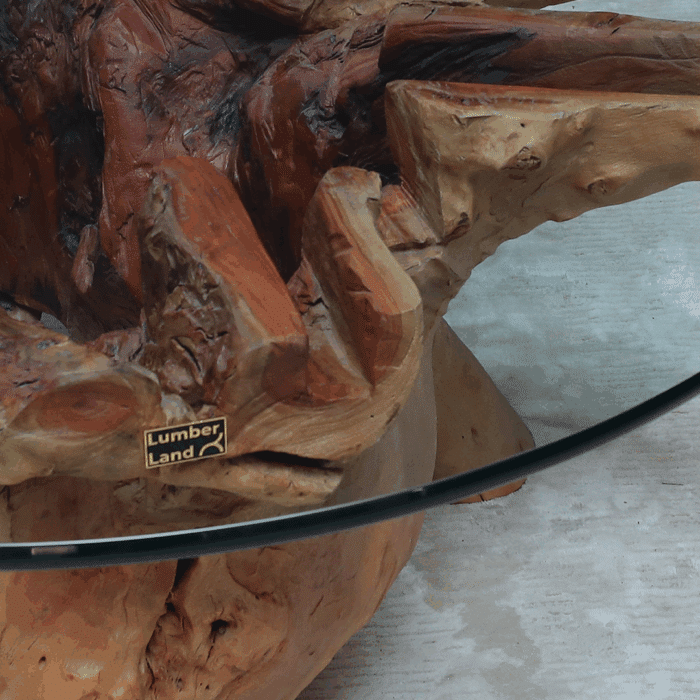 طاولة القهوة من الجذور الطبيعية CT0049