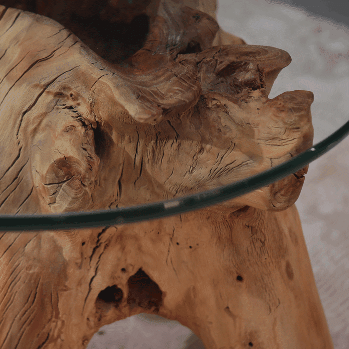 طاولة قهوة جذر شجرة CT0050