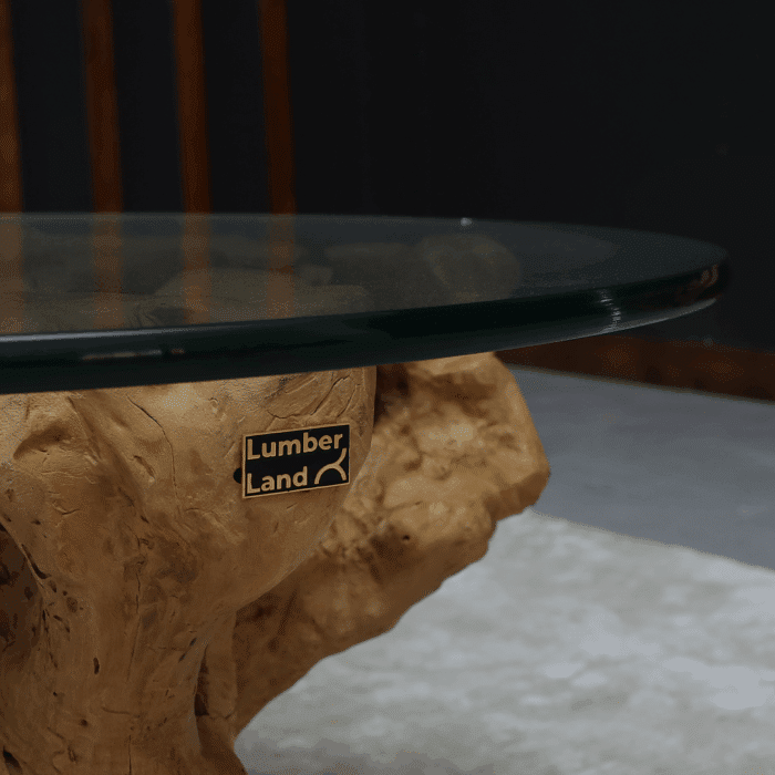 طاولة قهوة جذر شجرة CT0051