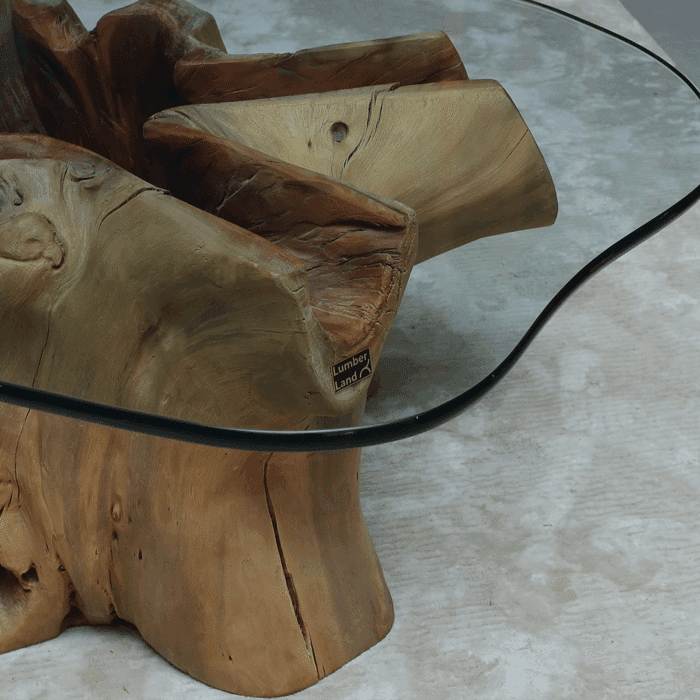 طاولة القهوة من الجذور الطبيعية CT0055