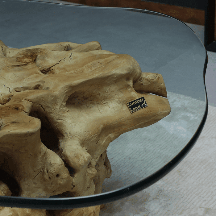 طاولة القهوة من الجذور الطبيعية CT0057